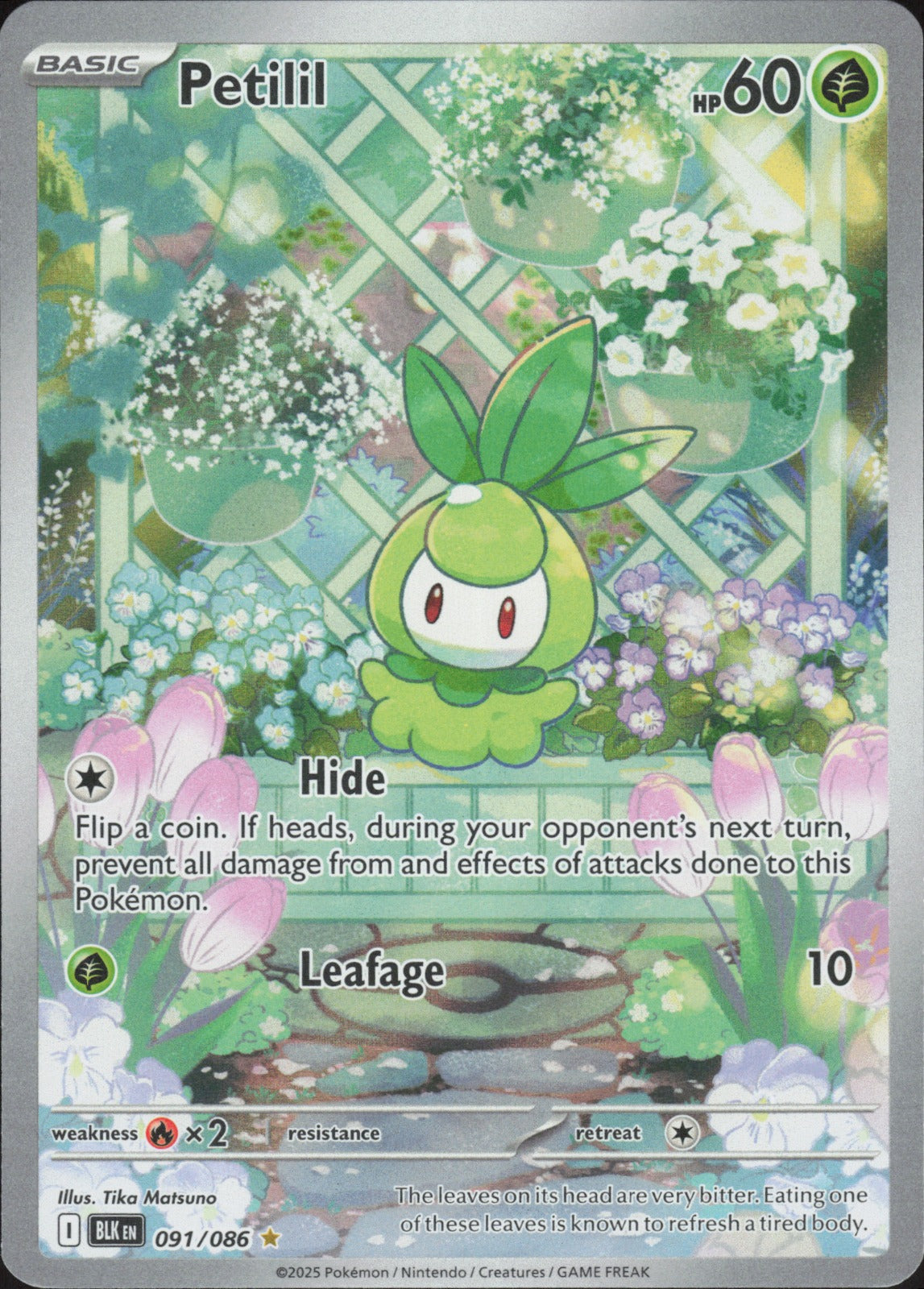 Petilil Holo Illustration Rare SV: Black Bolt 091/086 NM
