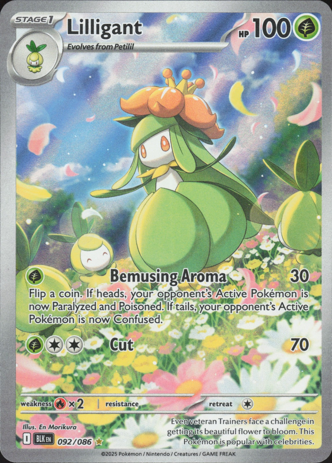 Lilligant Holo Illustration Rare SV: Black Bolt 092/086 NM